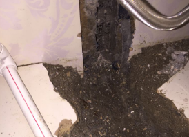 龙安卫生间测漏水哪家好