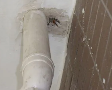 龙安漏水检测哪家好